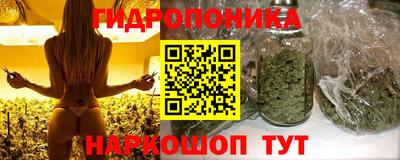 ешки Новозыбков