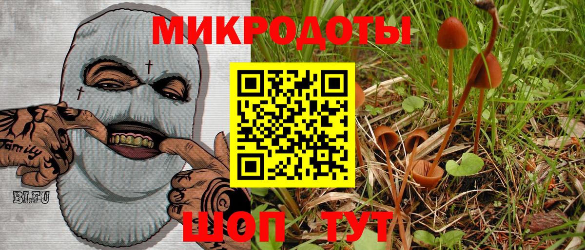 Тихорецк  Псилоцибиновые грибы мицелий  Вход с VPN  Галлюциногенные грибы прущие грибы 