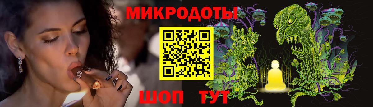 Псилоцибиновые грибы Psilocybe Тихорецк